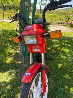 Tomos A5 Colibri - 4