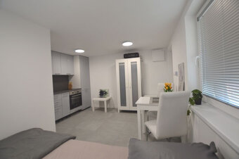 1 izb byt Zlaté piesky s pozemkom 250m2, klimatizácia, elekt - 4