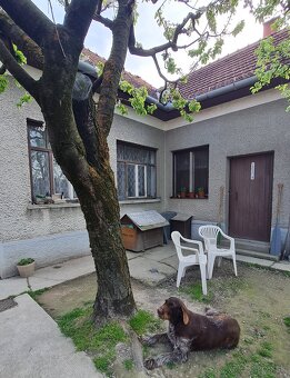 Bývanie v Bodíkoch_2 izbový RD - 4