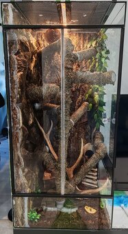 Terarium v110s53h50 - 4