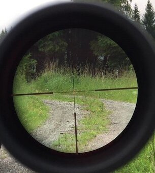 BLASER R93 Luxus kal. 8x64 S + 243 Win. + Leica, Zeiss čb - 4