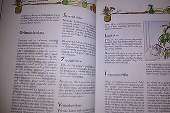 Izbové rastliny- Helmut Jantra - 4