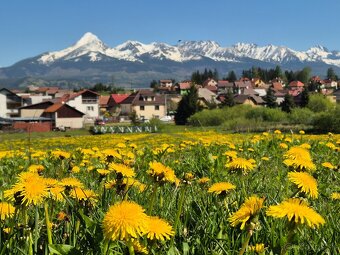 Pôvodná drevenica s výhľadom na Tatry - 4