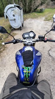 Honda Hornet 600 - 4