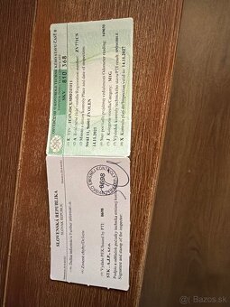 JEEP COMPASS 2,2 L TURBO DIESEL - 4