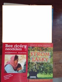 Willetová ; Coddington; Kraftová ; Vasilková; Andrews .... - 4