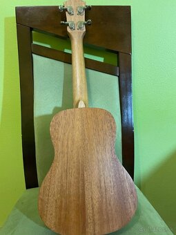 Ukulele - 4