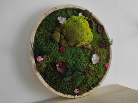 Predám obraz z machu: Kruh s kvetmi a rastlinami (Ø40 cm) - 4