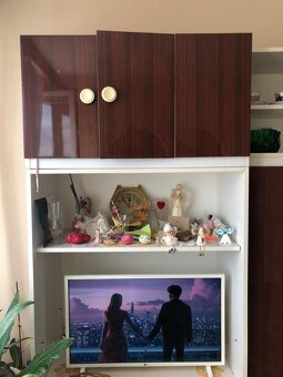 Obývacia stena + koberec - 4