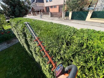 Strihanie okrasných drevín, živých plotov a skrátenie tují - 4