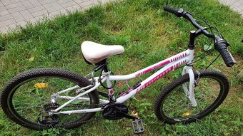 Bicykel Mayo '24 dievčenský - 4