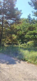 🌲 Pozemok na predaj – Zlatnícka dolina 🌲 - 4