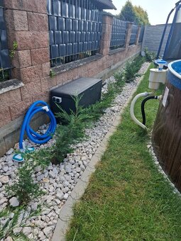 Cyprusovec leylandsky 2001, zivy plot - 4