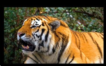 Smart Projektor  Full HD - 4