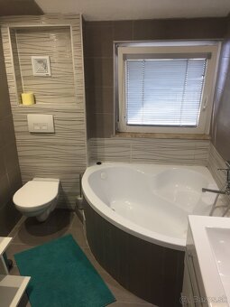 Zariadený 1-izbový byt s terasou - 4