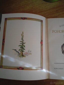 Božena Němcová - Pohorská Vesnice (1926) - 4