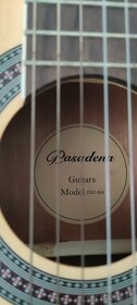 Gitara Pasadena - 4