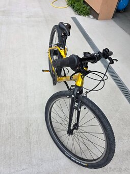 Rascal 24 cyklospecialita ultra ľahký , 1x 7 Nexus - 4