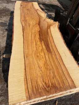 JASEŇOVÉ REZIVO OLIVE ASH / Očkové drevo / Live edge - 4
