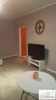 Predaj veľký 1 izbový byt - 4