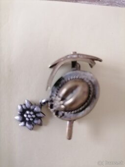 Predam starý odznak alpska protež Edelweiss - 4