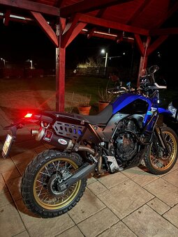 Tenere 700 Extreme - 4