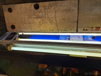 Predam akvarium 576l - 4