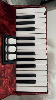 Harmonika- Delicia - 4
