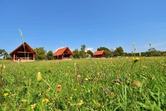 Predaj Usadlosť, 145100 m2, Zemiansky Vrbovok, Okres Krupina - 4