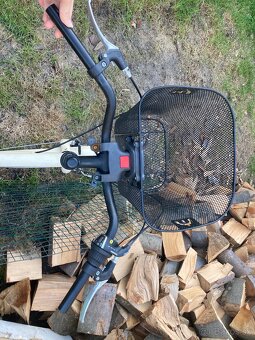 Dámsky bicykel - 4