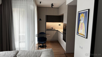 1-izbový byt na prenájom spolu s Cabrio FIAT 500 - Bory - 4