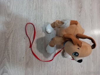 Predám floppy psa - 4