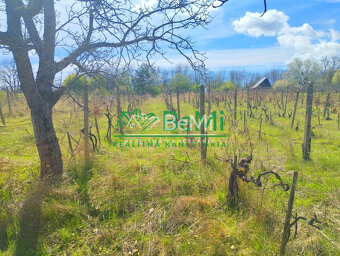 Vinica-Slovenské Kľačany-predaj - 4