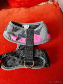 Oblecenie po yorkshirovi - 4