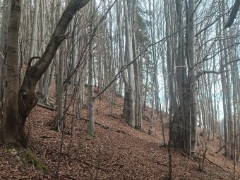 EXKLUZÍVNA INVESTÍCIA S OKAMŽITOU HODNOTOU: Pozemky s 85-roč - 4