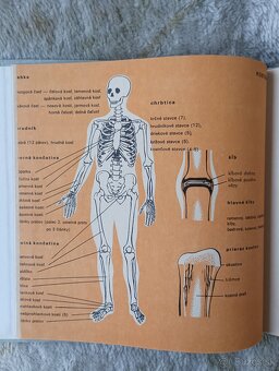 Príručný atlas prvej pomoci - 4