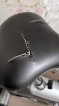 Stacionarny bicykel, rotoped - 4