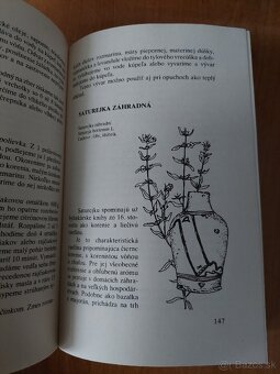 Koreniny - Pochutiny v domácnosti - 4