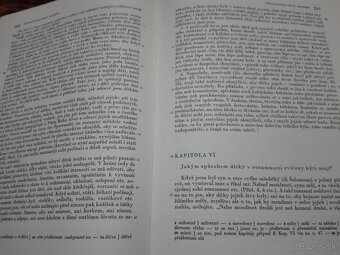 Jan Amos Komenský - 4