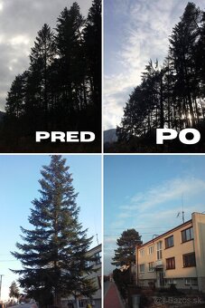 Rizikové pílenie , výrub a kompletné čistenie pozemkov - 4