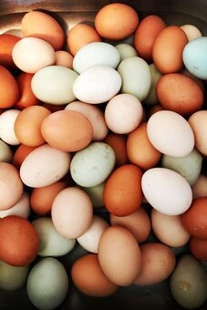 Nasadové Vajcia - 4