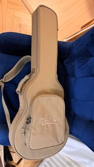 Taylor T5Z - USA - 4
