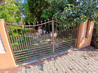 Predam bránu - 4