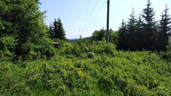 Predám rekreačný pozemok v Kolaroviciach pri Bytči - dohoda - 4