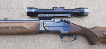 Guľobroková kozlica ZH - 4