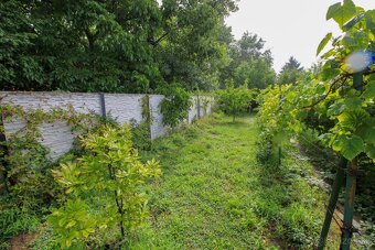 NA PREDAJ – Pestovaná záhrada s chatkou v lokalite Žabí Maje - 4