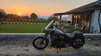 Harley fxbb street bob - 4