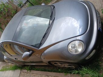 New Beetle - 4