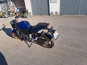 Honda Hornet - 4