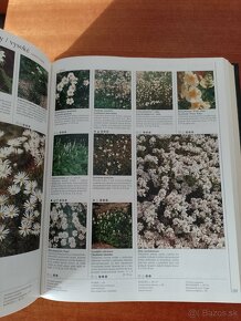 Veľká encyklopédia kvetov a okrasných rastlín - 4
